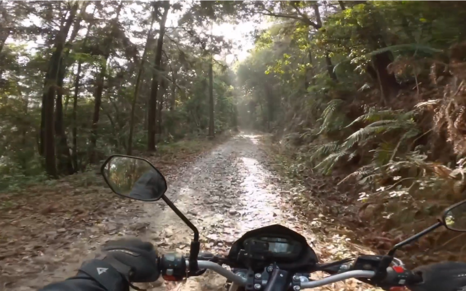 [图]骑着小摩托漫游在春天的阳光和雨水、山林和草地。豪爵nk150/Gopro8