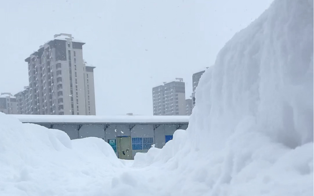 暴雪正确向上的图片图片