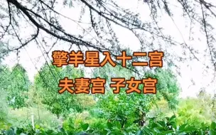 Video herunterladen: 擎羊星入十二宫 夫妻宫 子女宫