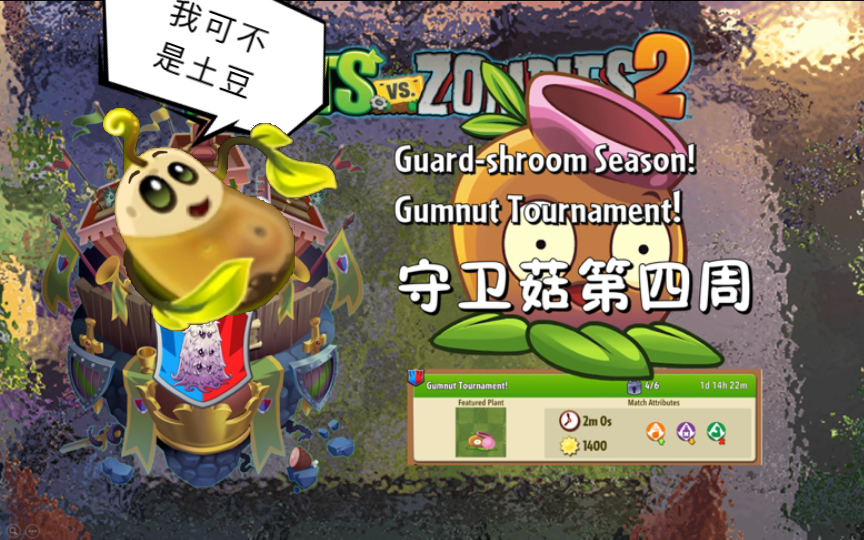 植物大战僵尸2国际版竞技场(pvz2国际版)守卫菇第四周 2024.06.