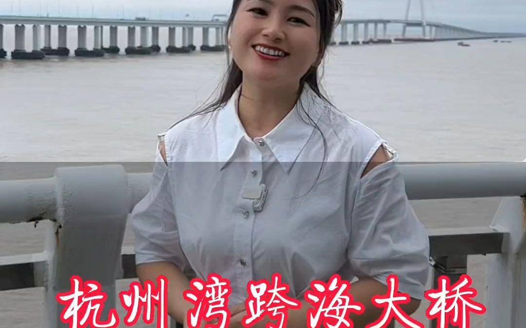 杭州湾跨海大桥,投资200多亿,竟然全都是当地浙江当地政府和民营企业投资的,太厉害了哔哩哔哩bilibili