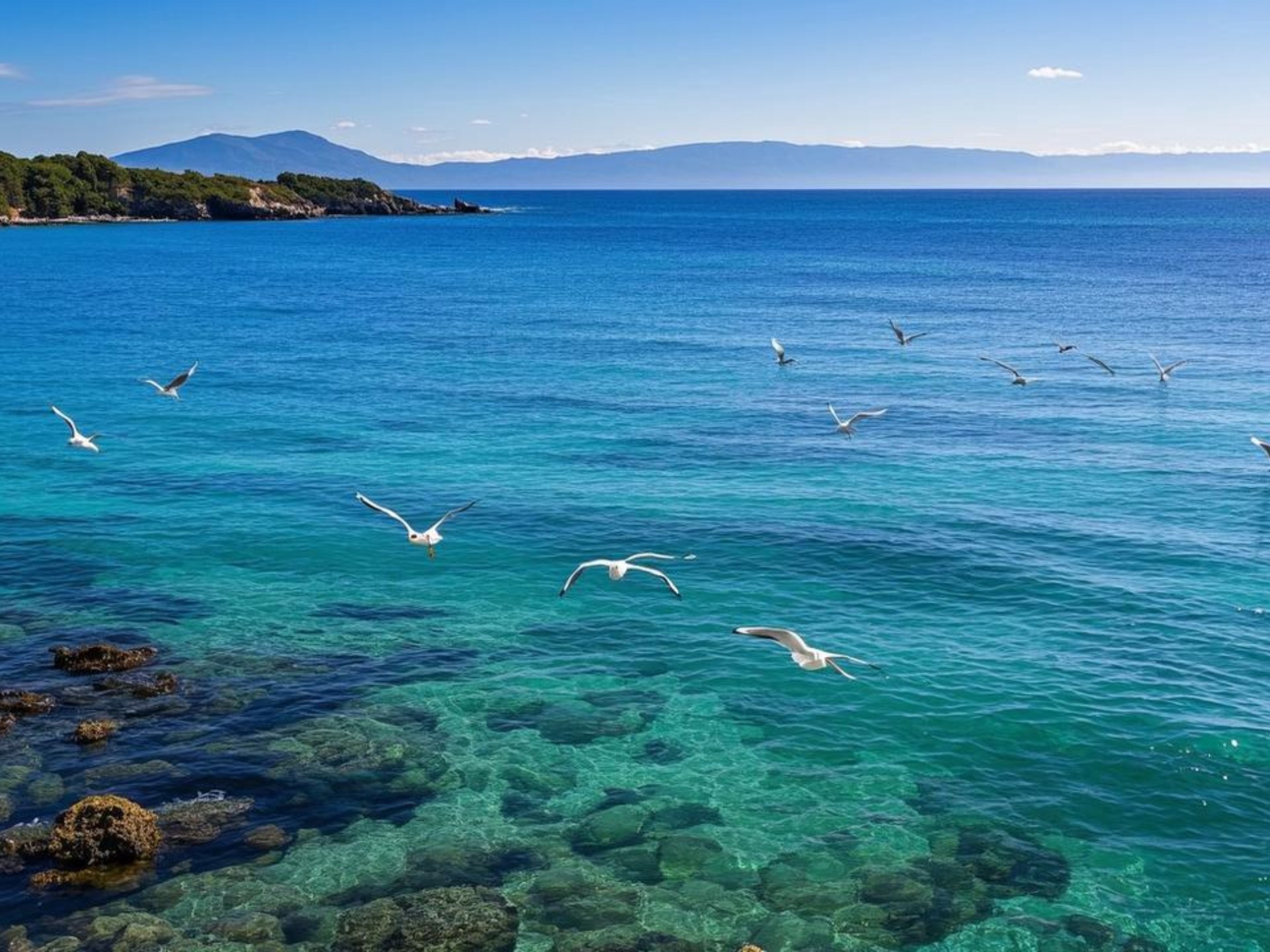 蓝色星球的心脏:解码地球海洋的生态密码