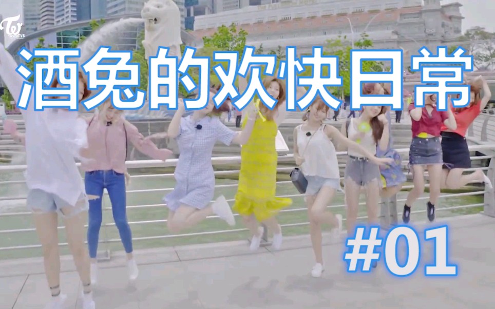 【TWICE】酒兔的欢快日常#01哔哩哔哩bilibili