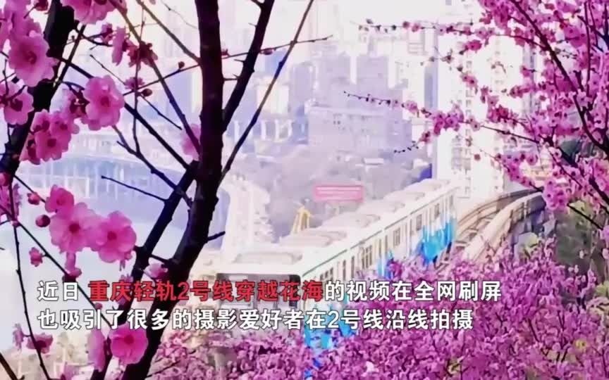 危险!“开往春天的列车”遭无人机撞击,当场紧急刹车哔哩哔哩bilibili