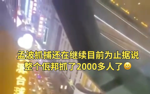 孟波抓捕还在继续,目前为止据说整个佤邦抓了2000多人,还没停,还会继续打击网络诈骗犯罪哔哩哔哩bilibili