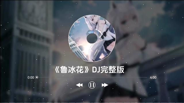 《天上的星星不说话》DJ完整版.鲁冰花DJ.哔哩哔哩bilibili