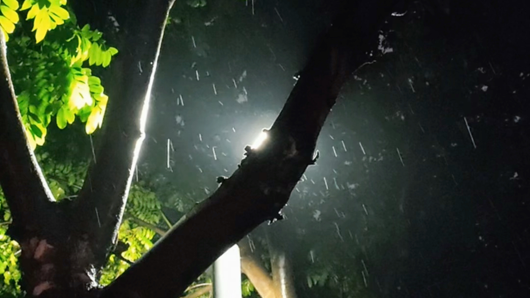 第2499期 | 淅淅瀝瀝 夜晚路燈下雨 唯美安靜孤獨雨景 情緒抒情 下雨