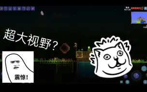 Download Video: 【泰拉瑞亚】手机版如何将视野调的超大？