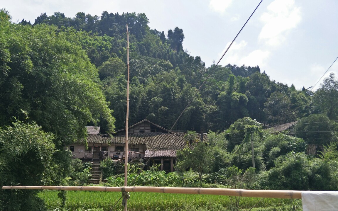 [图]老先生在重庆大山里看风水