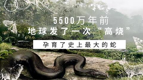 5500万年前 地球发了一次 高烧 孕育了史上最大的蛇 哔哩哔哩