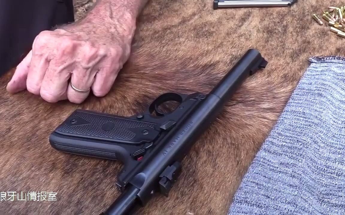 性能测试鲁格-马克四型