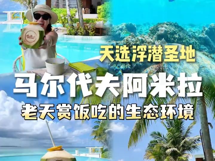 天选浮潜圣地阿米拉诚不欺我❗老天爷赏饭吃的生态环境𐟐  海沟0距离,海景&浮潜美到落泪𐟌Š阿米拉还有多少惊喜是我不知道的𐟏–哔哩哔哩bilibili