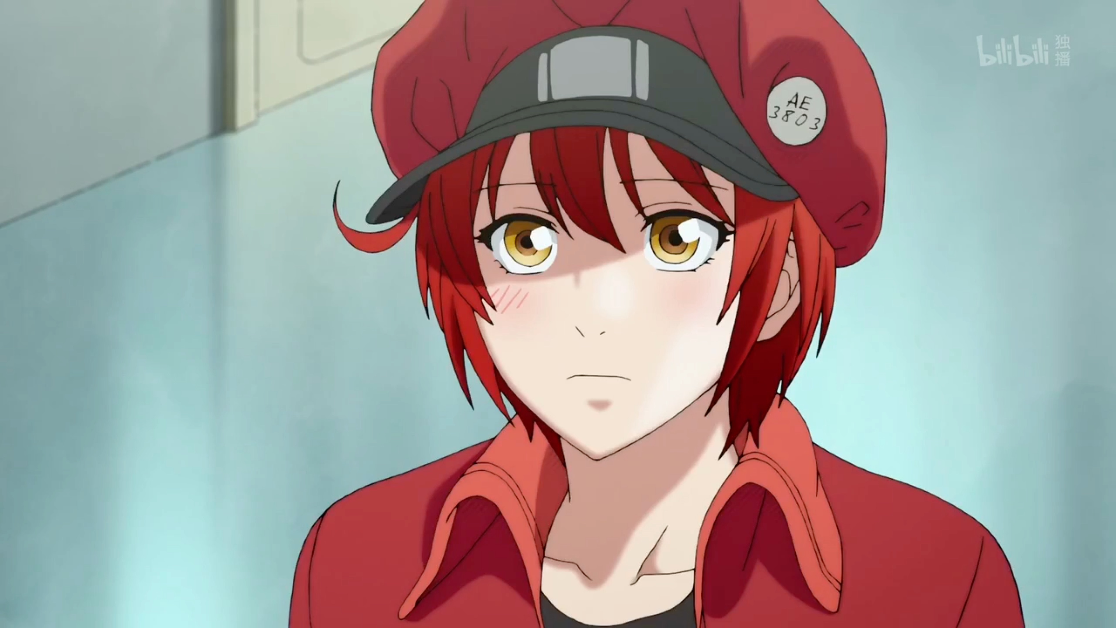 工作细胞白赤2我还能再见到你吗