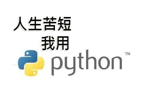 Python实现词频次数分析,并进行可视化!可实用了还能学到知识!哔哩哔哩bilibili