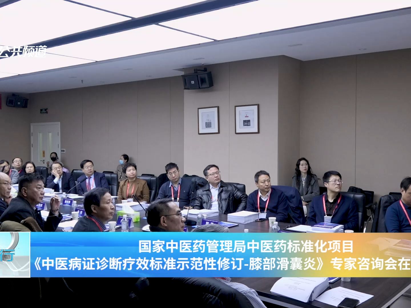 中医病证诊断疗效标准示范性修订-膝部滑囊炎》专家咨询会在郑州召开