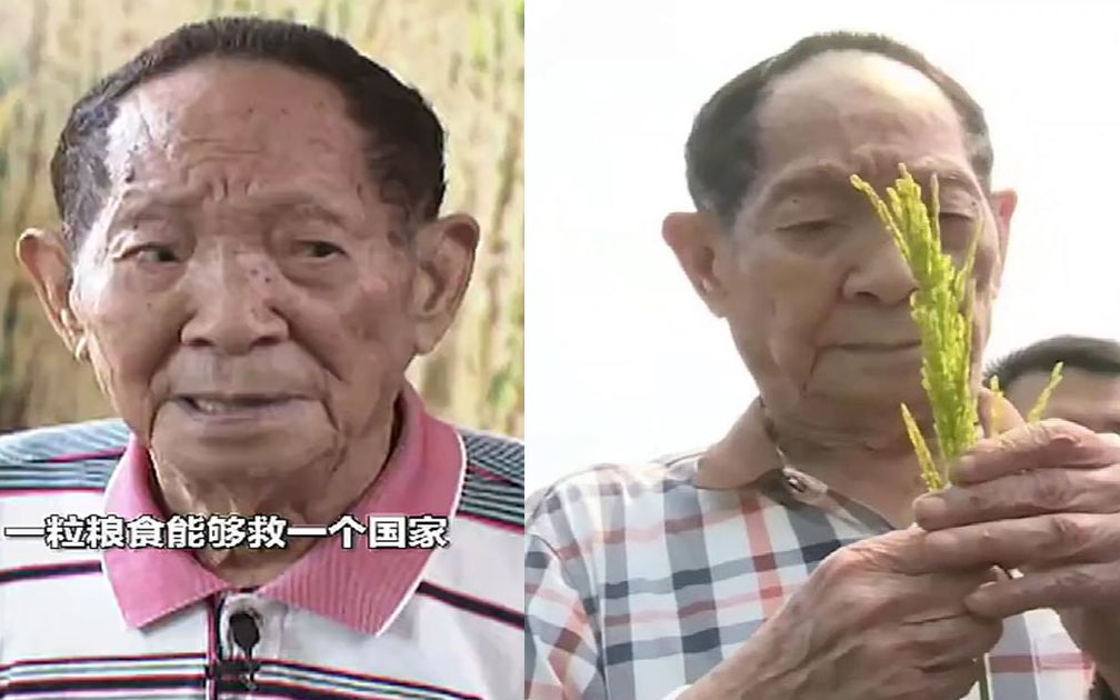 【袁隆平】一粒粮食可以救一个国家  也可以绊倒一个国家