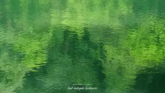 Playlist🍃春日秘境｜古典氛围钢琴｜学习白噪音｜工作｜专注｜放松