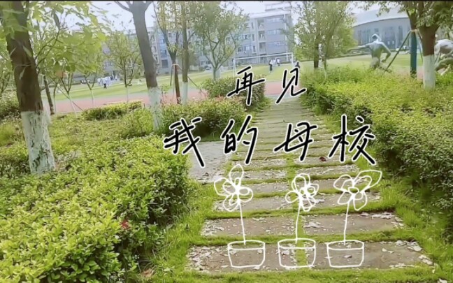 再见,我的母校(不过我相信我会回来的)