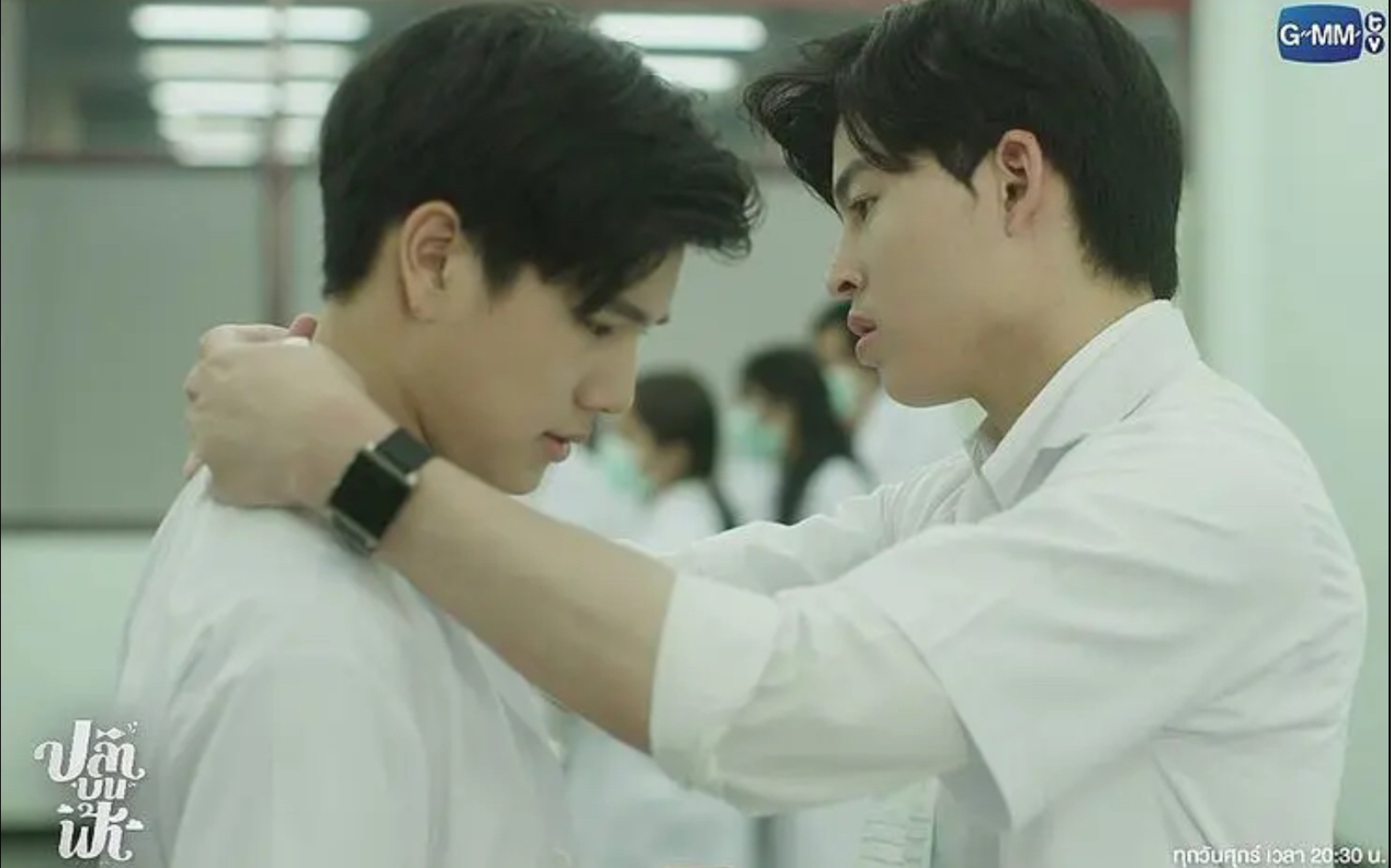 《鱼你相医》_哔哩哔哩 (゜-゜)つロ 干杯~-bilibili