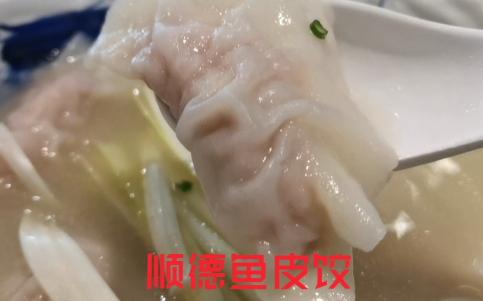 顺德鱼皮饺,百年老店镇店招牌,汤水小九一滴也没放过哔哩哔哩bilibili