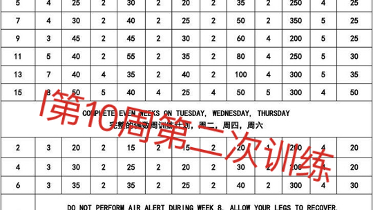 美国弹跳训练计划表图图片