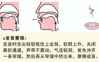 声母z发音 搜索结果 哔哩哔哩 Bilibili
