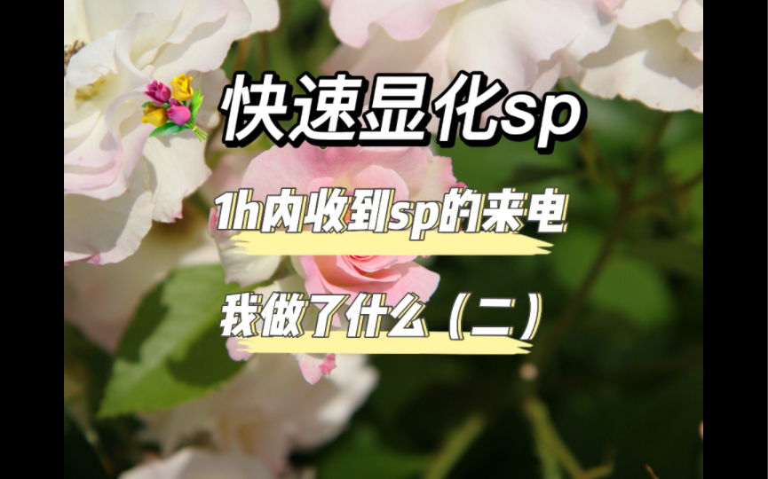 1h内快速显化sp 我做了什么(二)【显化sp 】|3d狂动哔哩哔哩bilibili