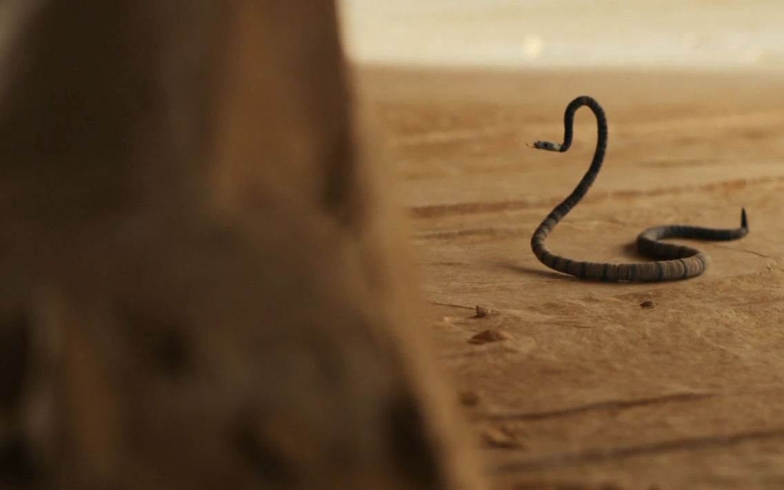 the little prince - the snake