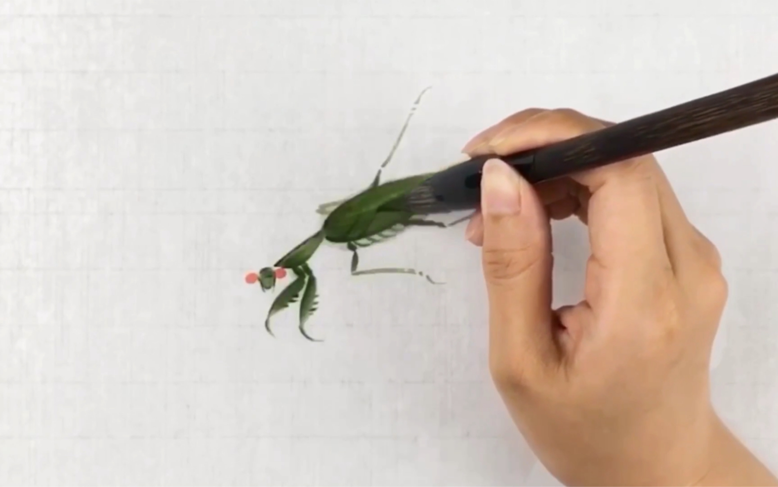 【快乐学国画】1分钟教你画螳螂