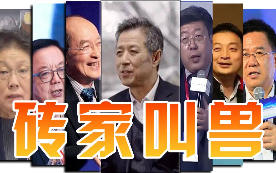 当“专家”不经过调查研究说,农民的纯收入过了1万6的时候的感受哔哩哔哩bilibili