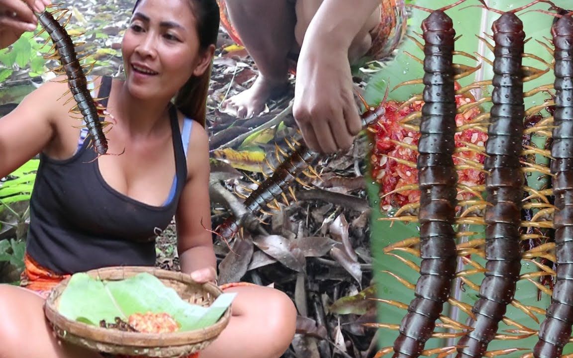 [图]【丛林美食录】大妈活捉大蜈蚣，然后煎着吃，沾上佐料，美味极了