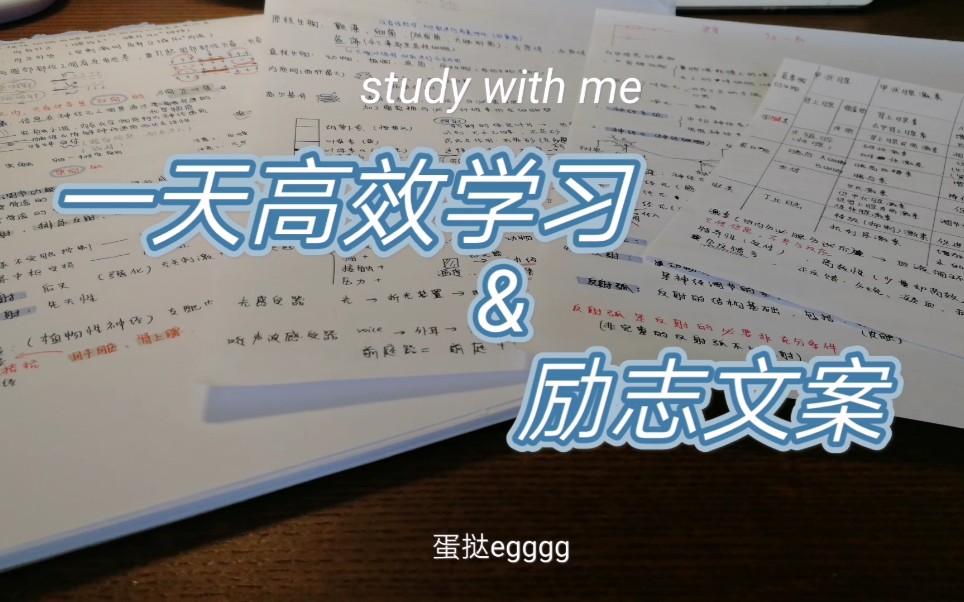 【study with me】总有些话可以点醒迷茫的你|励志文案|开学倒计时5天|寒假vlog#5哔哩哔哩bilibili