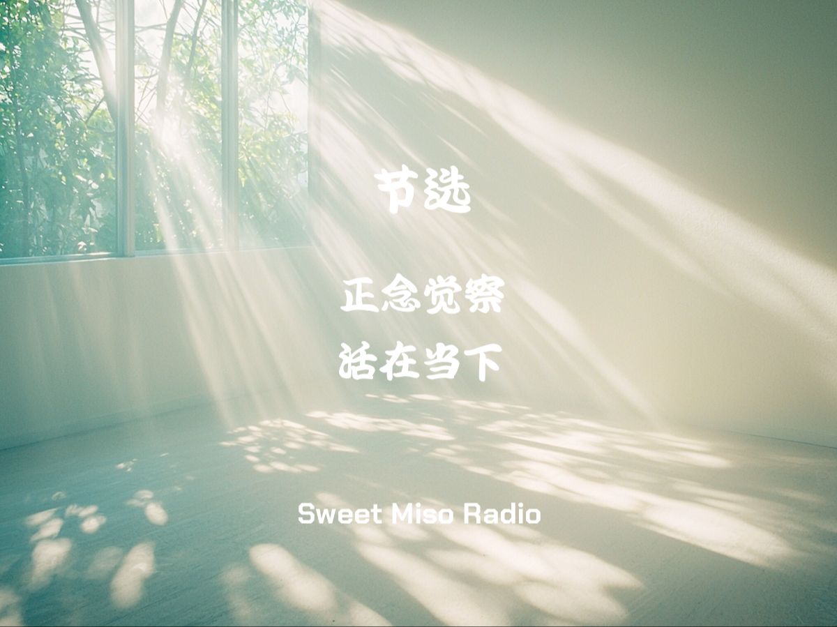 冥想音乐【节选】正念觉察:活在当下