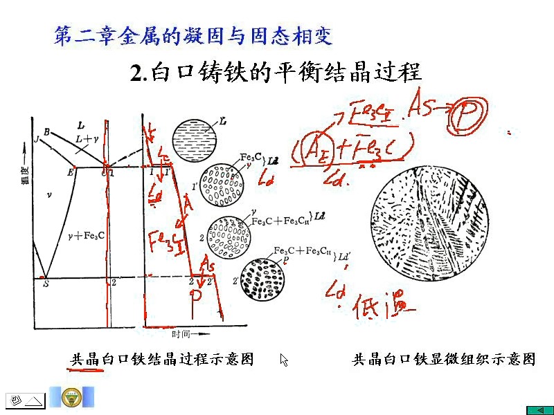 白口铁组织示意图图片