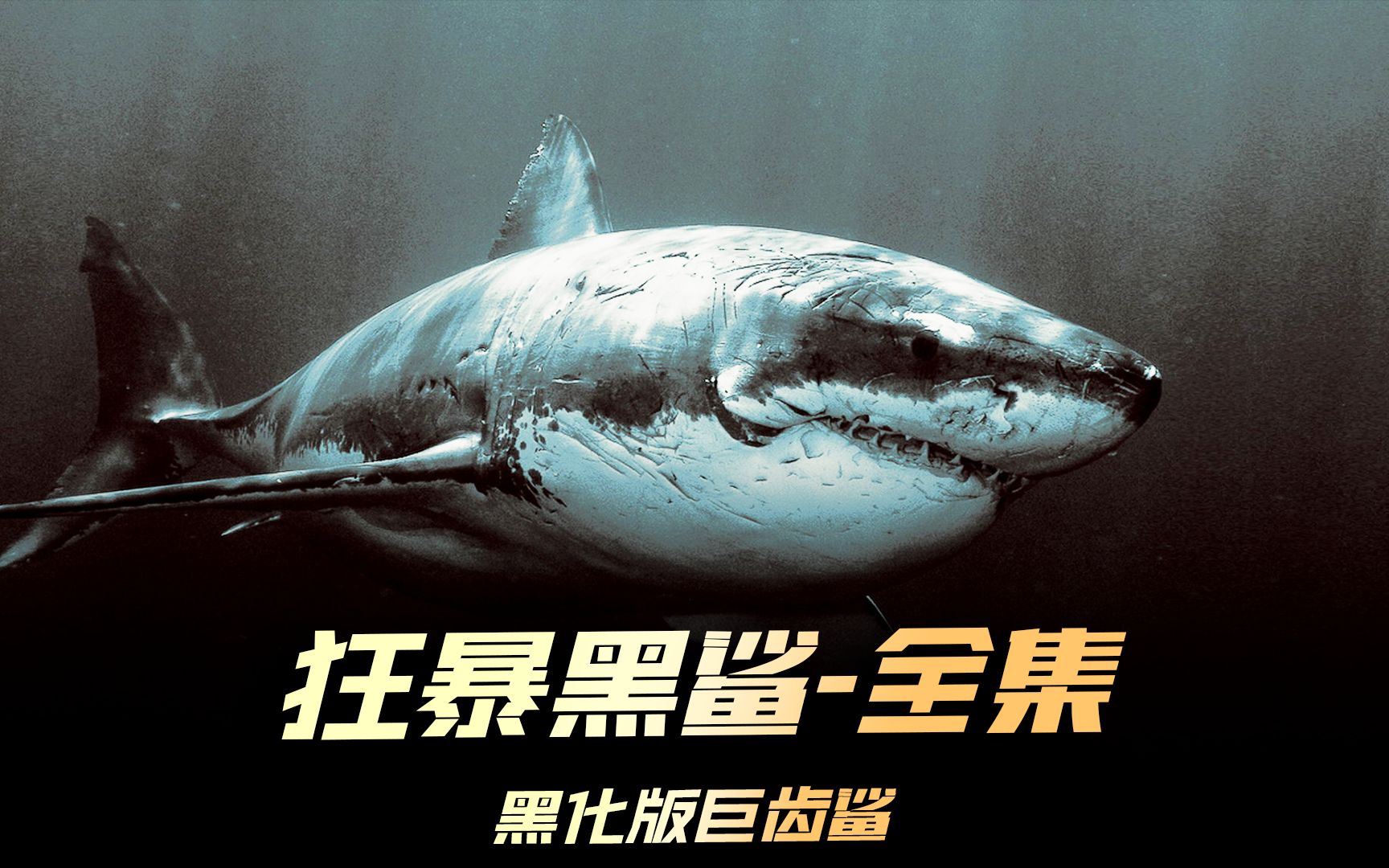 全集,没喝之前哥们叫鲨鱼,喝醉之后小爷叫黑魔鲨 #狂暴黑鲨 #鲨鱼