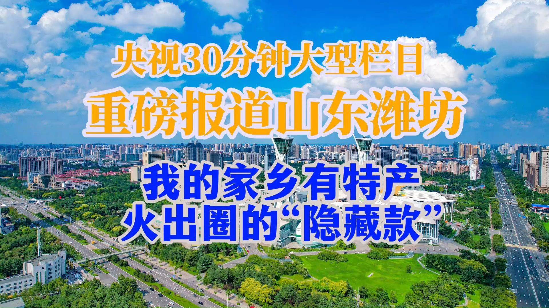 央视30分钟大型栏目重磅报道山东潍坊 我的家乡有特产 火出圈的“隐藏款” #临朐鹅肝 #昌乐鄌郚吉他 #昌乐蓝宝石 #梦金园黄金 #诗和远方自在潍坊哔哩哔...