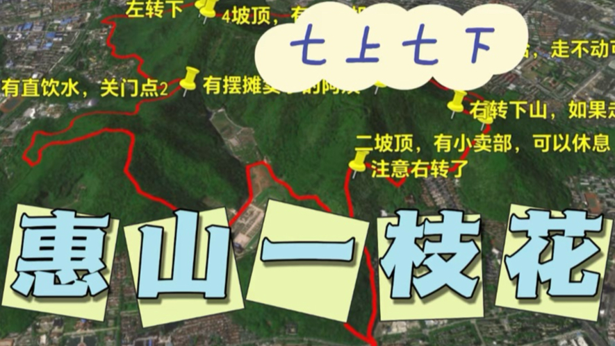 江浙沪徒步系列：惠山一枝花