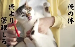 スゴ技 搜索结果 哔哩哔哩 Bilibili