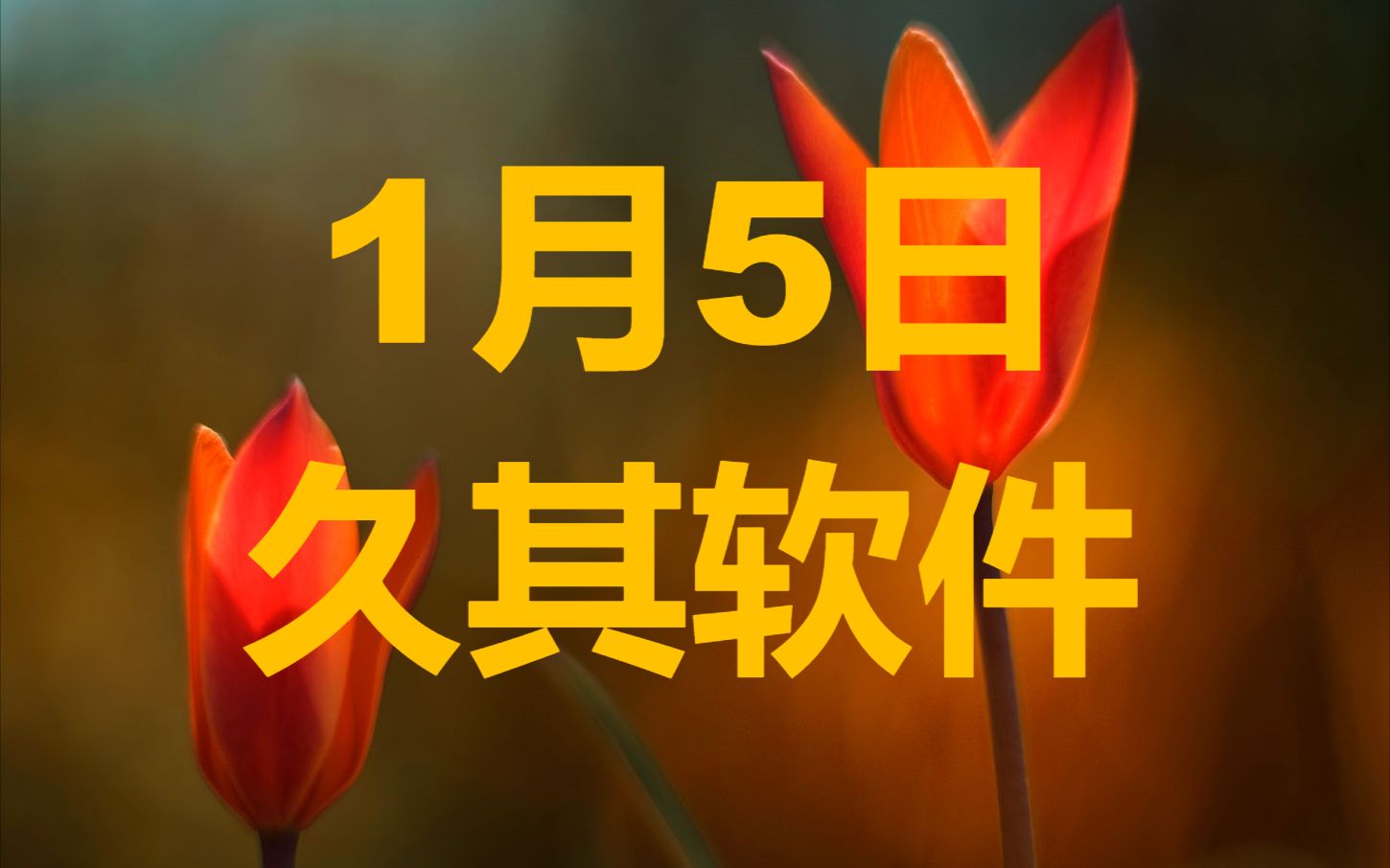 1月5日久其软件,这波调整是主力洗盘还是主力出货?哔哩哔哩bilibili