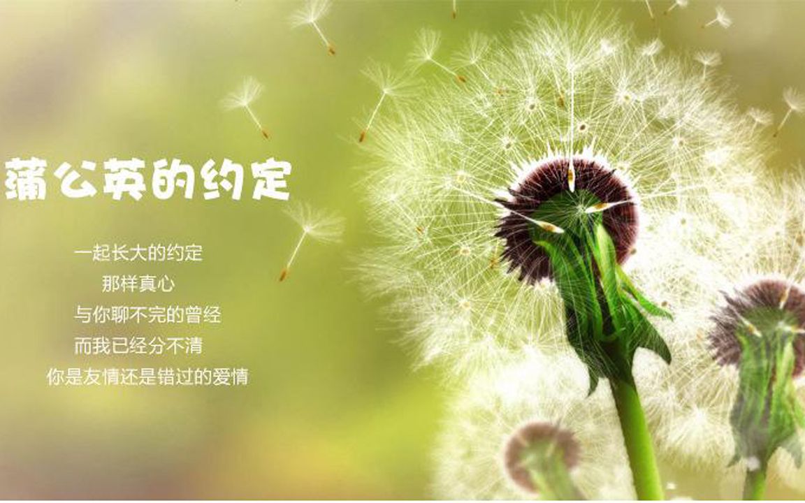 b站小伙深情翻唱jay动人歌曲蒲公英的约定那样我就可以把你捧在手心