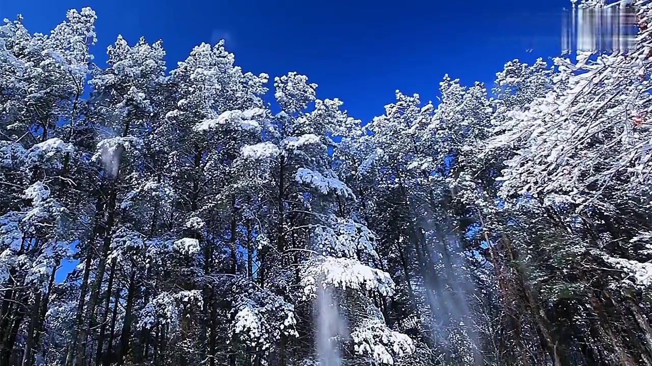 [图]轻音乐 - 初雪 - 班得瑞