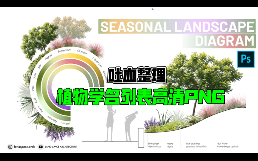 酷炫的环形景观植物制作|最全专业植物学名清单png素材哔哩哔哩bilibili