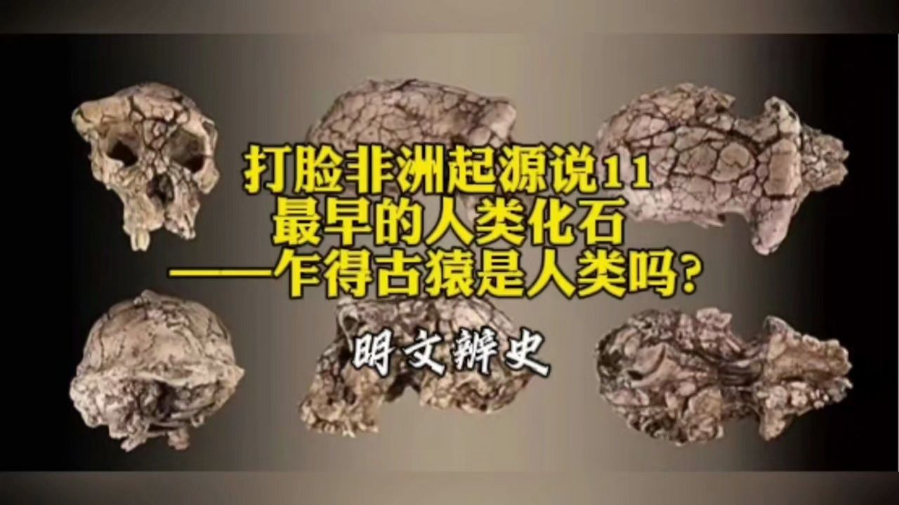 打脸非洲起源说11:最早的人类化石——乍得古猿是人类吗?哔哩哔哩bilibili