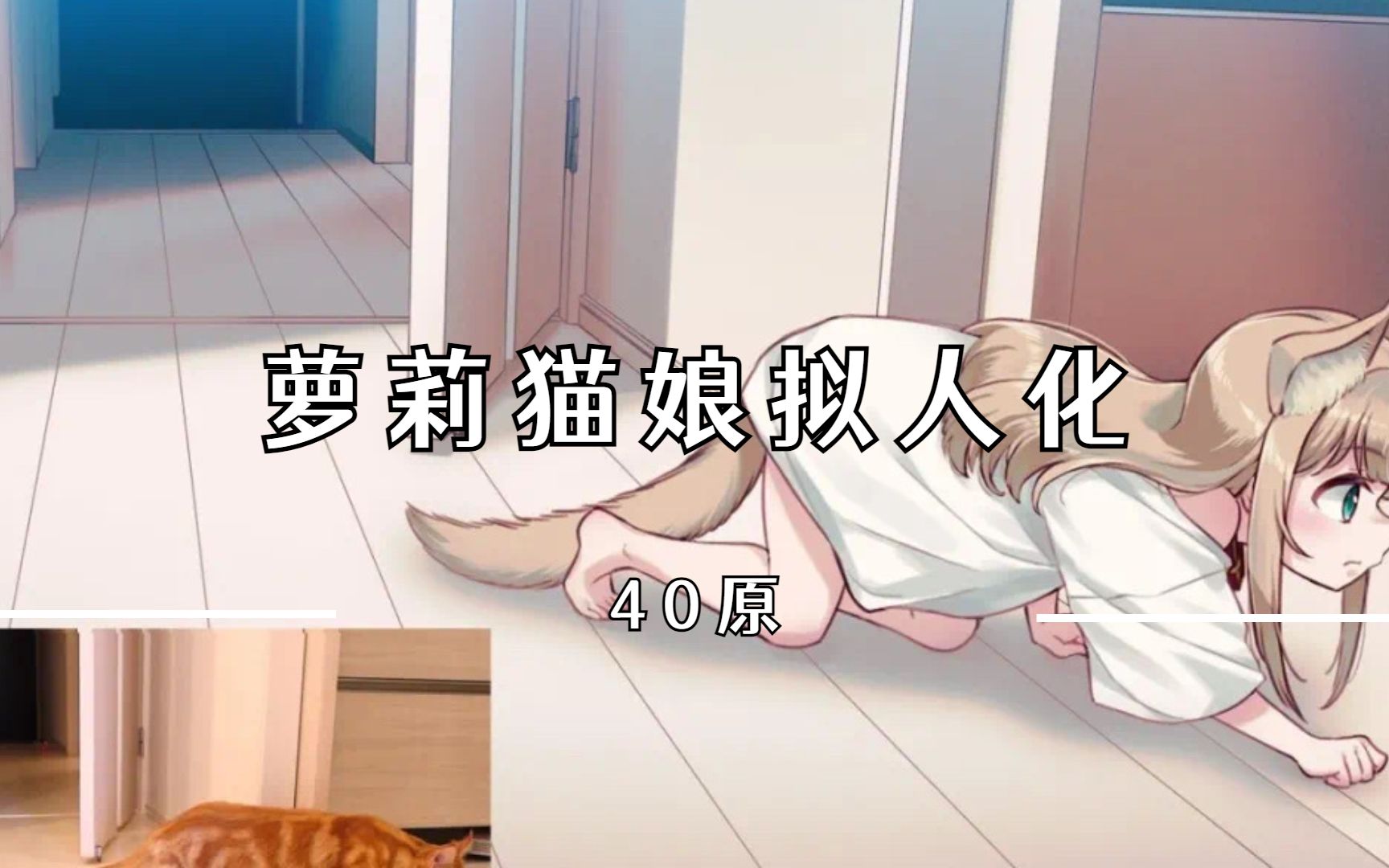 【画师分享】拟人化的猫咪—40原哔哩哔哩bilibili