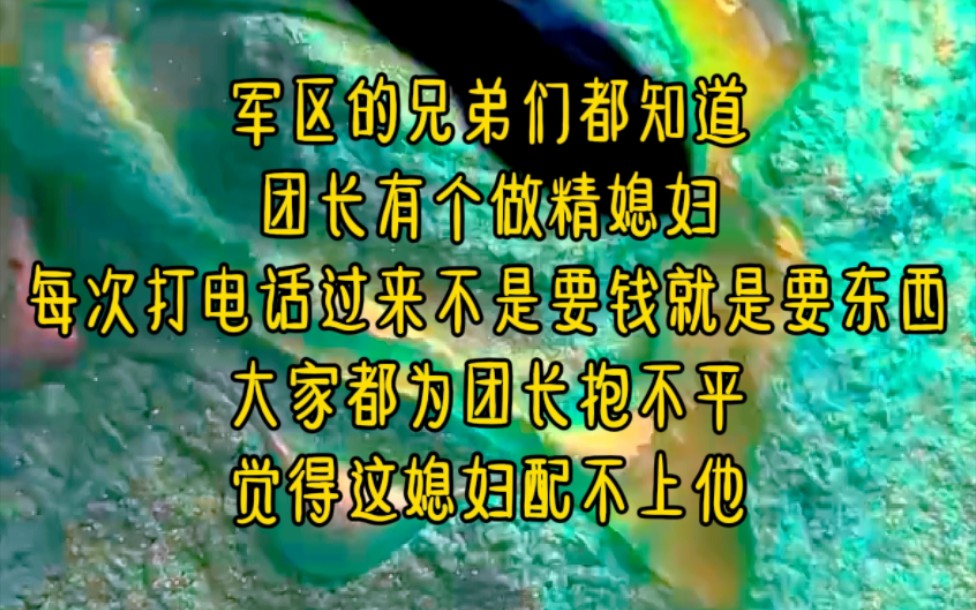 [图]军区的兄弟们都知道，团长有个做精媳妇，每次打电话过来不是要钱就是要东西，大家都为团长抱不平，觉得这媳妇配不上他…《八零军嫂赚翻了》