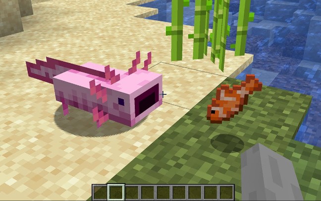 美西螈饿了(你可以帮他)_哔哩哔哩bilibili_我的世界