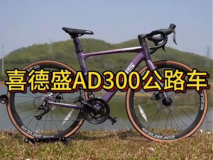 破風公路車,一體式破風彎把!