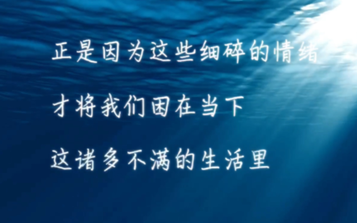 自卑,敏感,多疑,嗔怒,傲慢,建议反复练习,关键词:不评判.哔哩哔哩bilibili