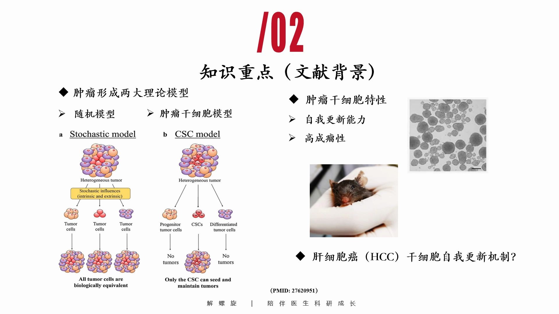 [图]【文献品谈会】解螺旋为医学生准备的高分文献精读课程快速提升taste