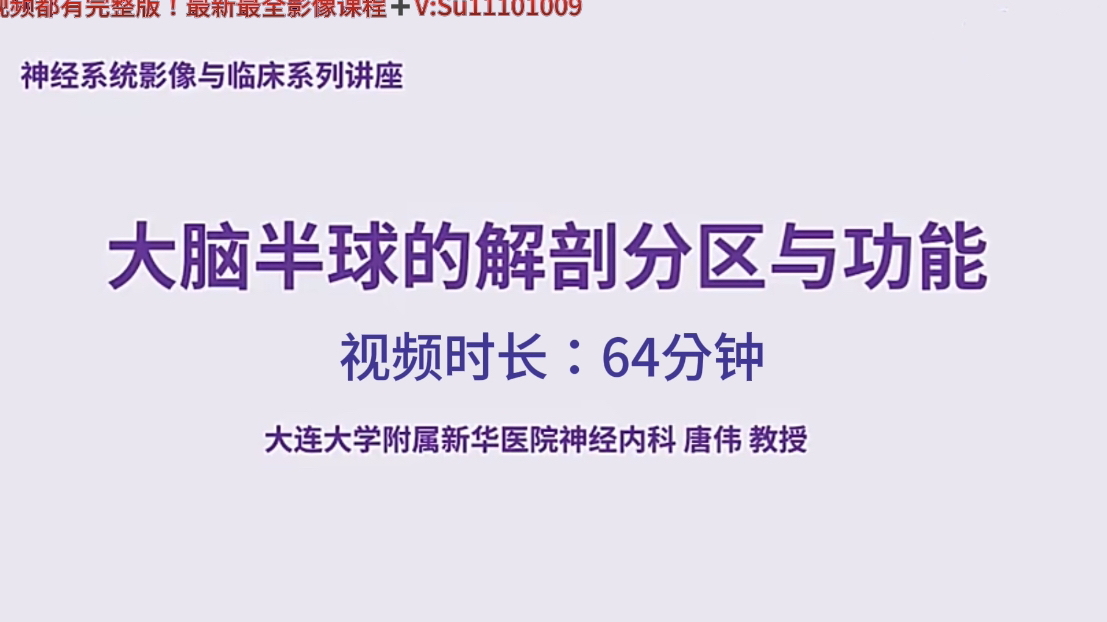 唐伟|神经基本功:颅脑解剖与影像异常——大脑半球的分区与功能介绍第3讲(共32讲)哔哩哔哩bilibili